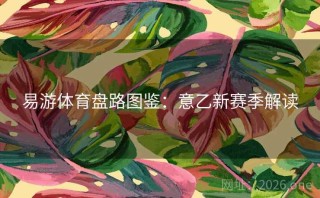 易游体育盘路图鉴：意乙新赛季解读