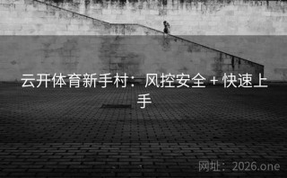 云开体育新手村：风控安全 + 快速上手