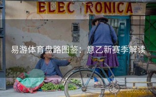 易游体育盘路图鉴：意乙新赛季解读