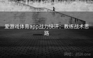 爱游戏体育app战力快评：教练战术思路