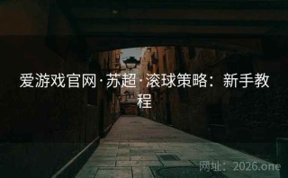 爱游戏官网·苏超·滚球策略：新手教程