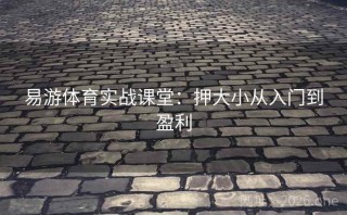 易游体育实战课堂：押大小从入门到盈利