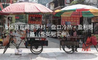 b体育官网新手村：盘口冷热 + 盈利思路（含英冠实例）