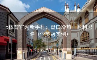 b体育官网新手村：盘口冷热 + 盈利思路（含英冠实例）