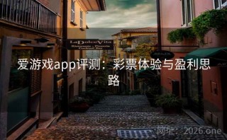 爱游戏app评测：彩票体验与盈利思路