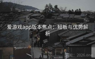 爱游戏app版本焦点：短板与优势解析