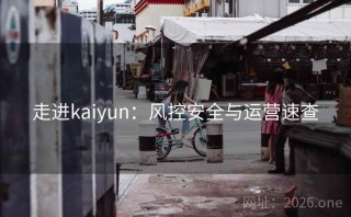 走进kaiyun：风控安全与运营速查