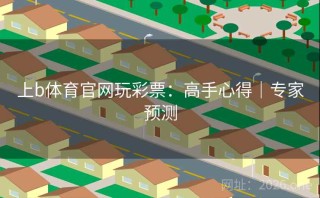 上b体育官网玩彩票：高手心得｜专家预测