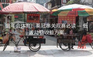 金年会体育：英冠串关观赛必读 — 低波动稳收益方案