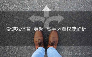 爱游戏体育·英超·高手必看权威解析