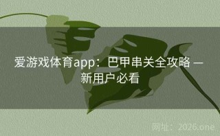 爱游戏体育app：巴甲串关全攻略 — 新用户必看