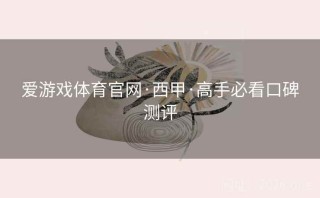 爱游戏体育官网·西甲·高手必看口碑测评