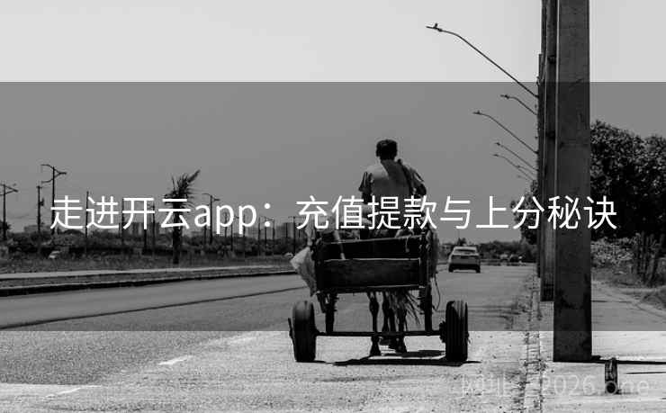 走进开云app：充值提款与上分秘诀  第2张