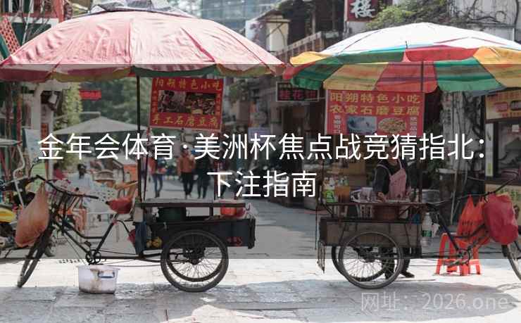 金年会体育·美洲杯焦点战竞猜指北：下注指南  第2张