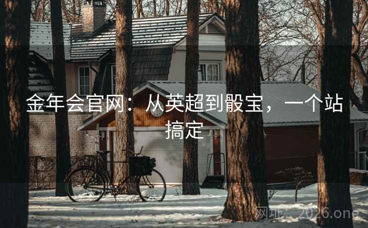 金年会官网：从英超到骰宝，一个站搞定  第2张