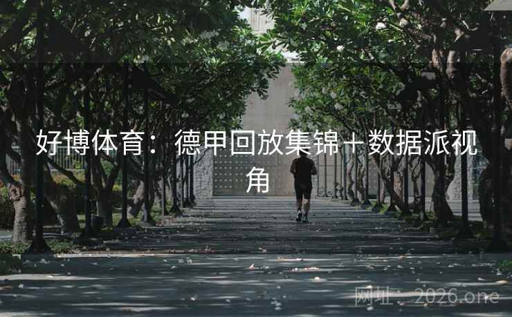 好博体育：德甲回放集锦＋数据派视角  第1张