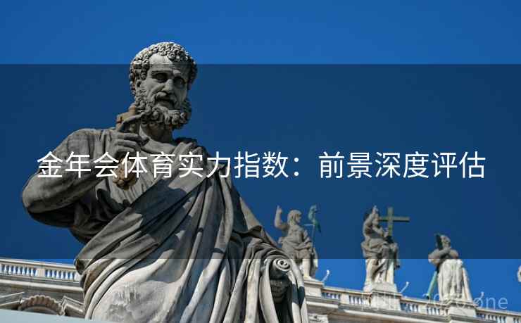 金年会体育实力指数：前景深度评估  第2张
