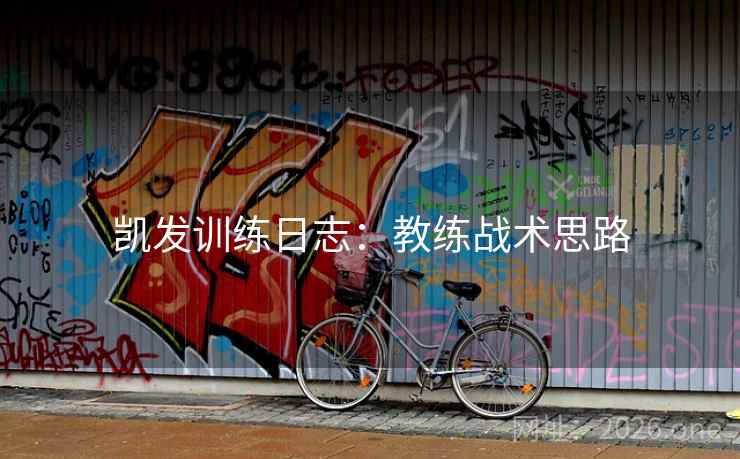 凯发训练日志：教练战术思路  第2张