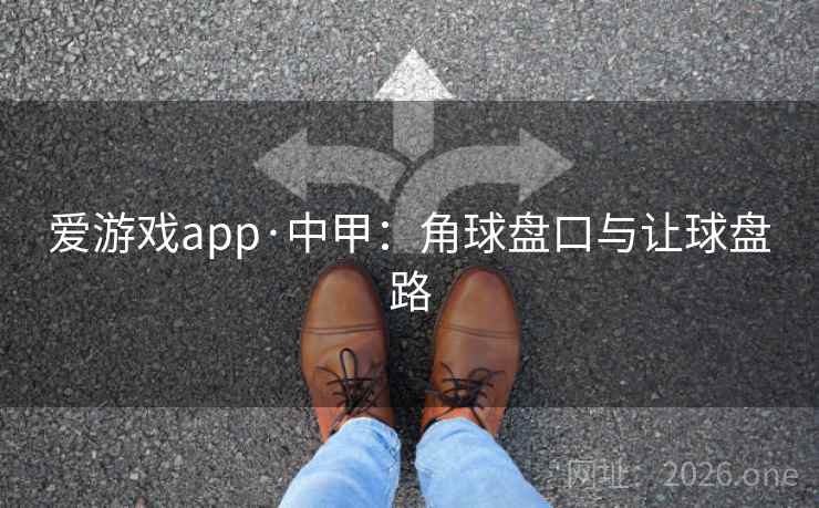 爱游戏app·中甲：角球盘口与让球盘路  第2张