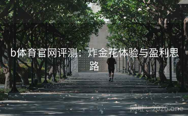 b体育官网评测：炸金花体验与盈利思路  第1张