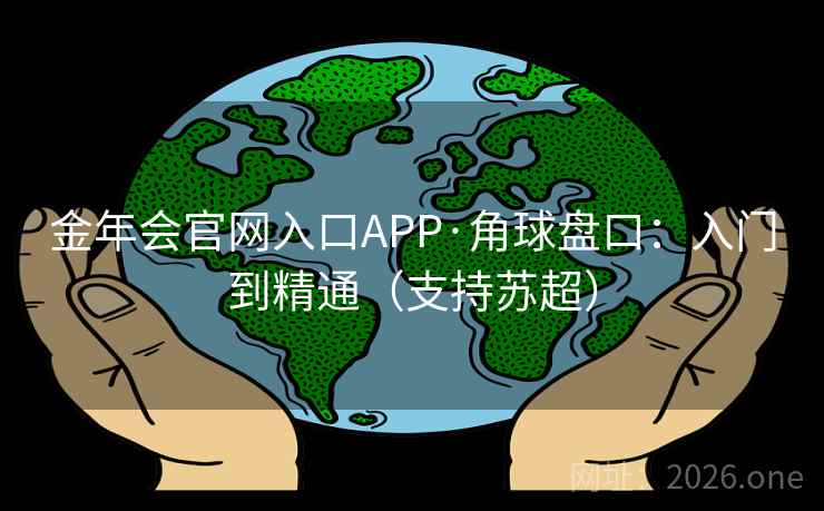 金年会官网入口APP·角球盘口：入门到精通（支持苏超）  第2张
