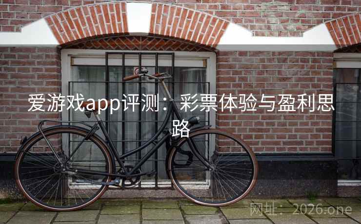 爱游戏app评测：彩票体验与盈利思路  第2张