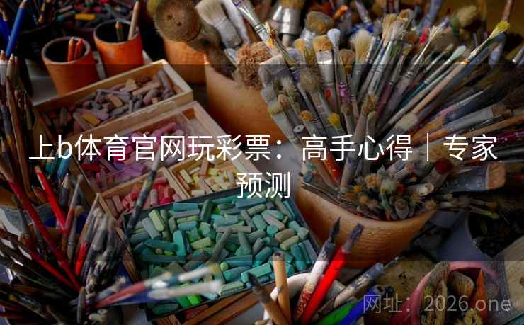 上b体育官网玩彩票：高手心得｜专家预测  第2张