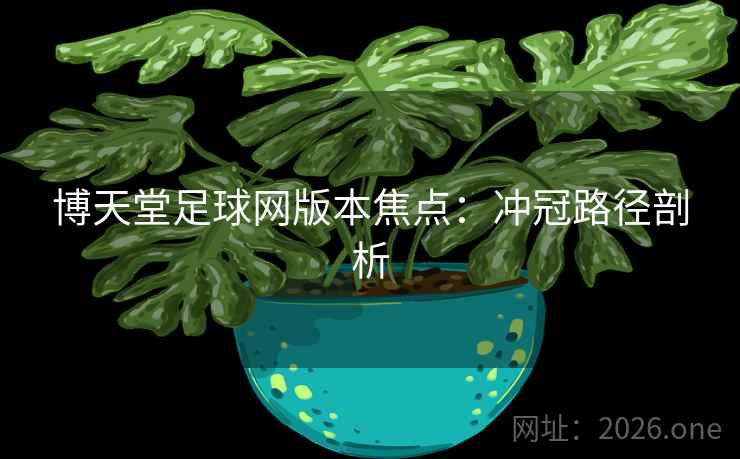博天堂足球网版本焦点：冲冠路径剖析  第2张