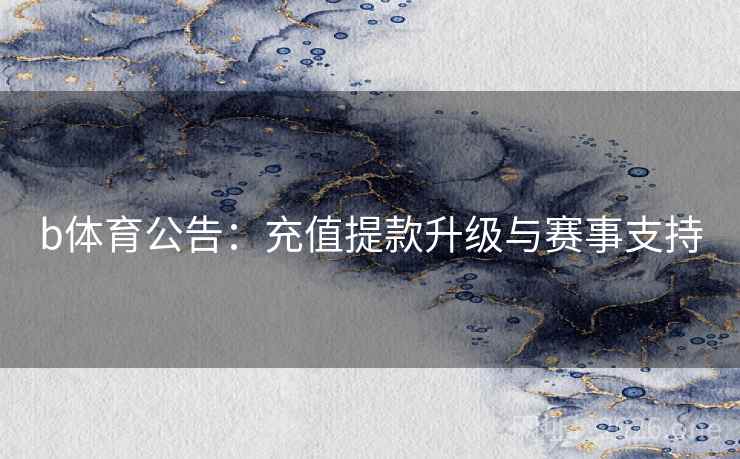 b体育公告：充值提款升级与赛事支持  第2张