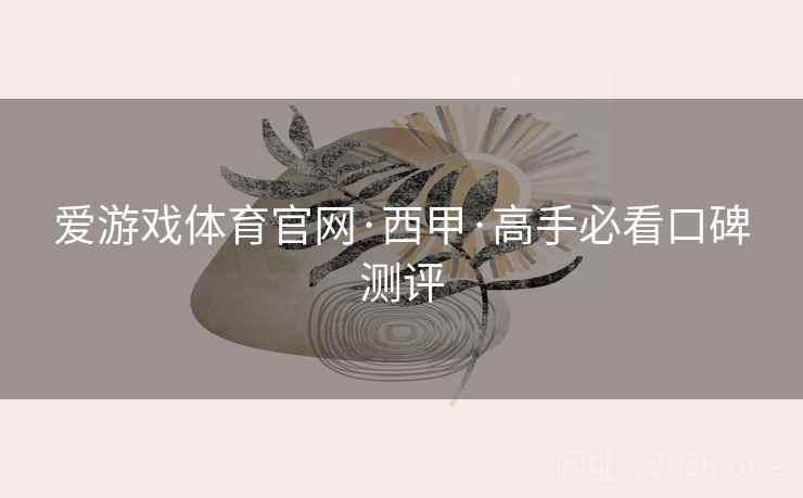 爱游戏体育官网·西甲·高手必看口碑测评  第1张