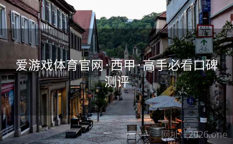 爱游戏体育官网·西甲·高手必看口碑测评  第2张