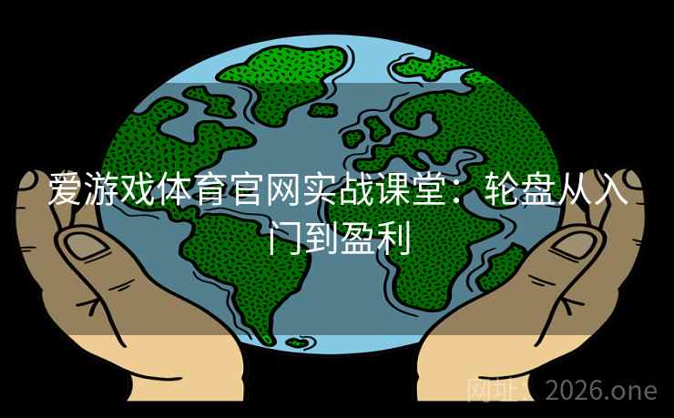 爱游戏体育官网实战课堂：轮盘从入门到盈利  第1张