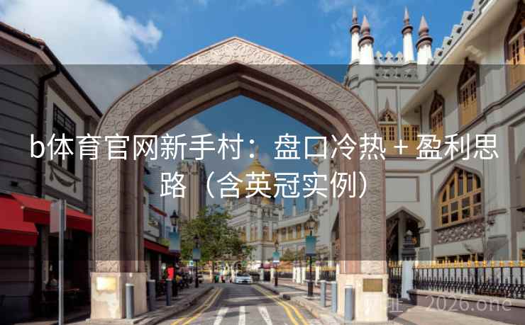 b体育官网新手村：盘口冷热 + 盈利思路（含英冠实例）  第1张