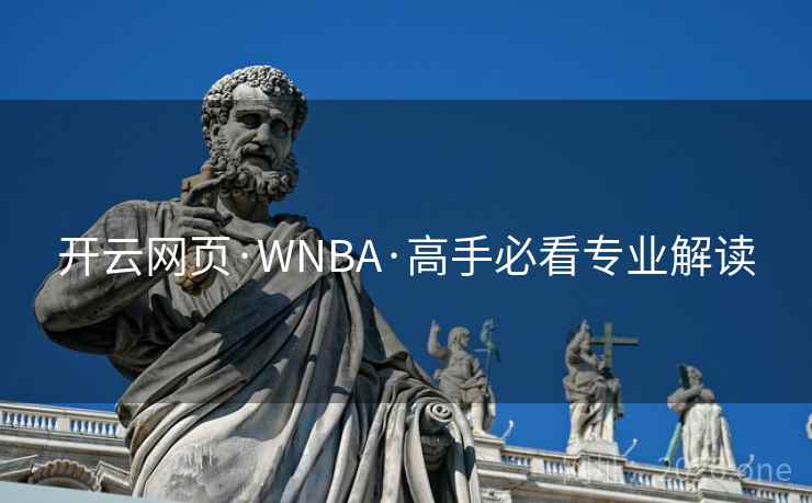 开云网页·WNBA·高手必看专业解读  第1张