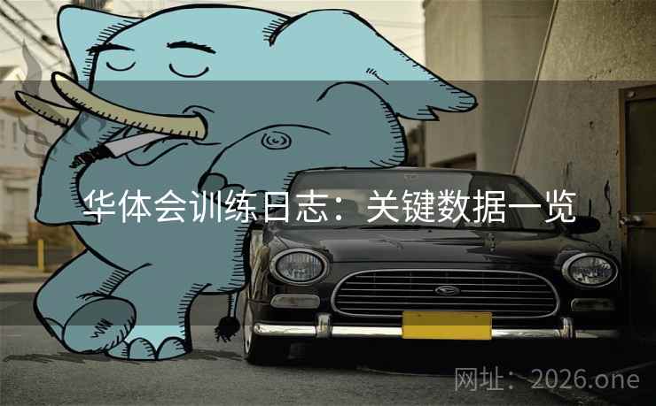 华体会训练日志：关键数据一览  第1张