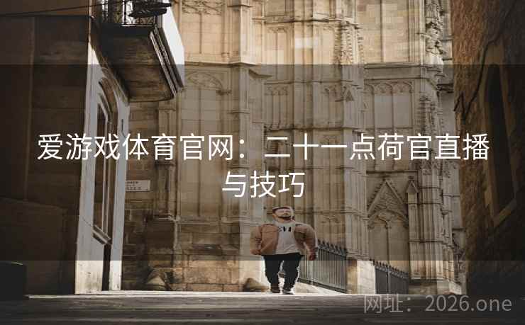 爱游戏体育官网：二十一点荷官直播与技巧  第2张
