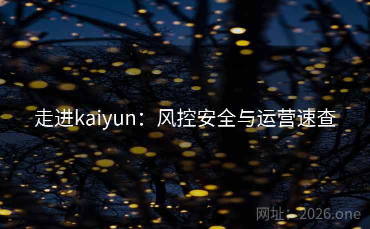 走进kaiyun：风控安全与运营速查  第1张